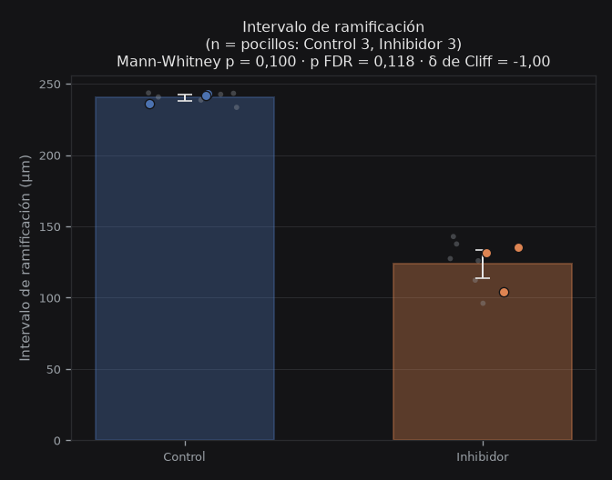 branching_interval_um