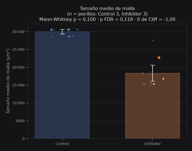 mean_mesh_size_um2