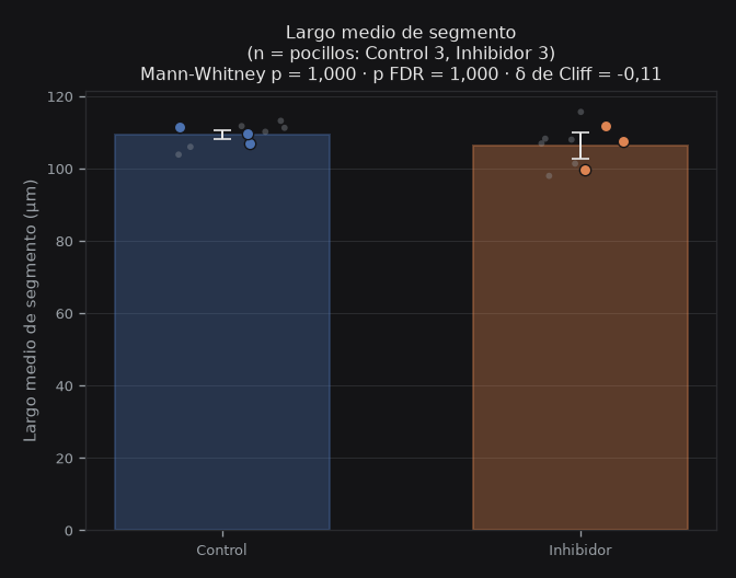 mean_segment_length_um
