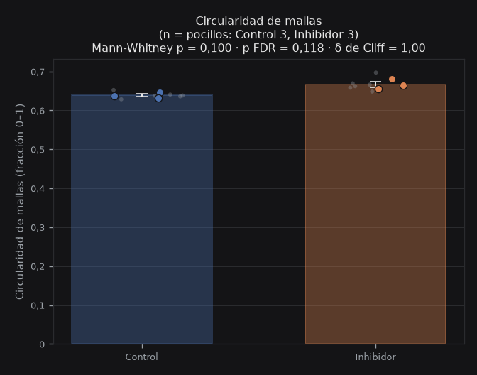 mesh_circularity_mean