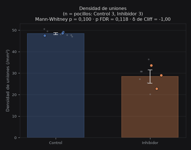 n_junctions_per_mm2