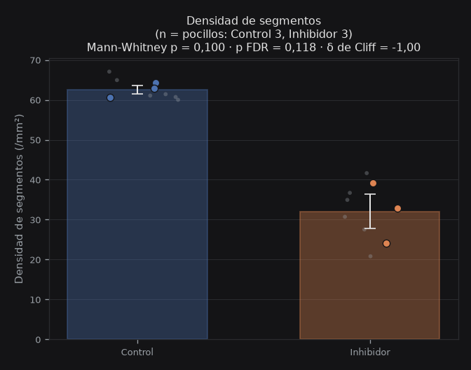 n_segments_per_mm2