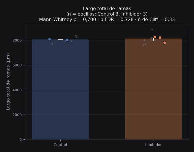 total_branches_length_um