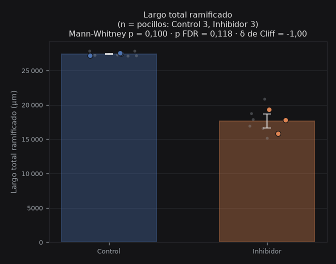 total_branching_length_um