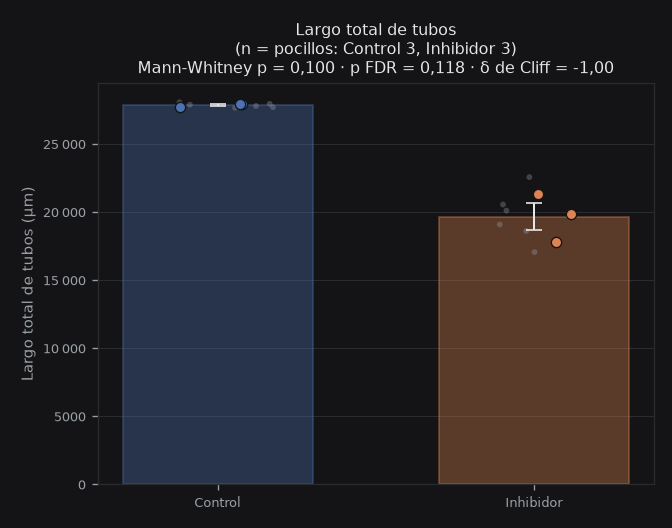 total_length_um