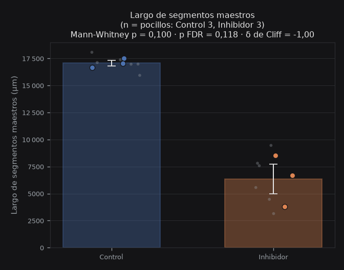 total_master_segments_length_um