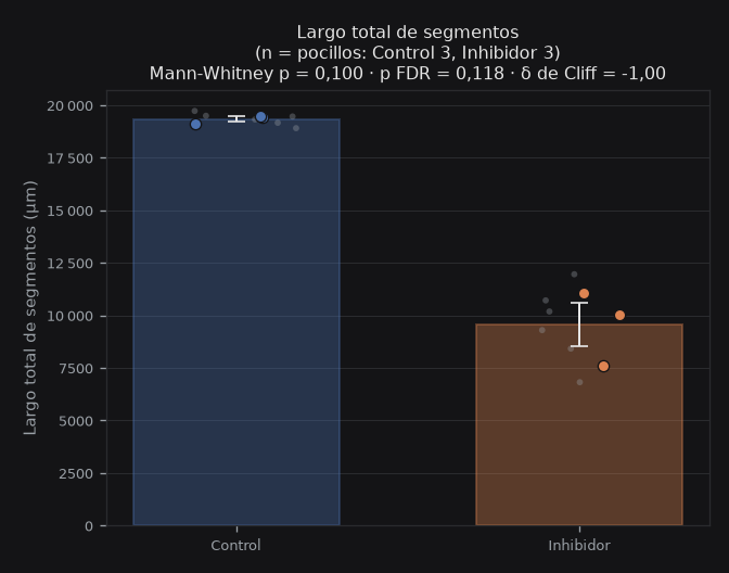 total_segments_length_um