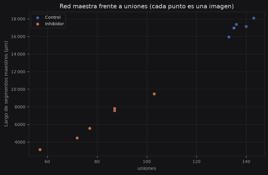 master_vs_junctions